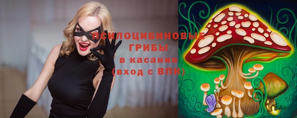 дурь Володарск