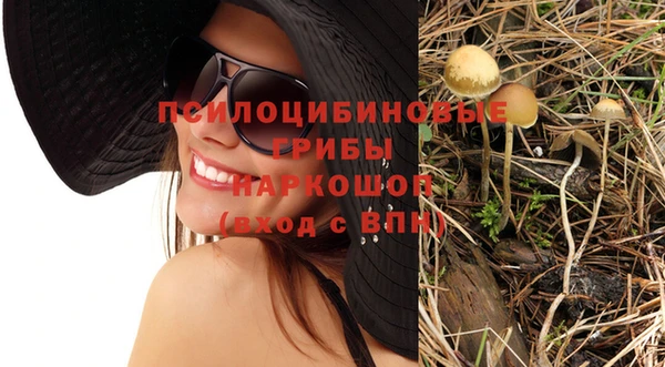 дурь Володарск