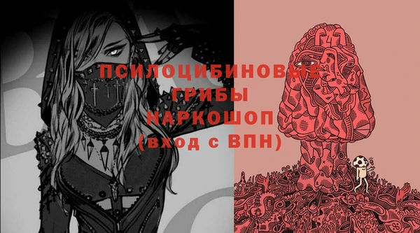 дурь Володарск